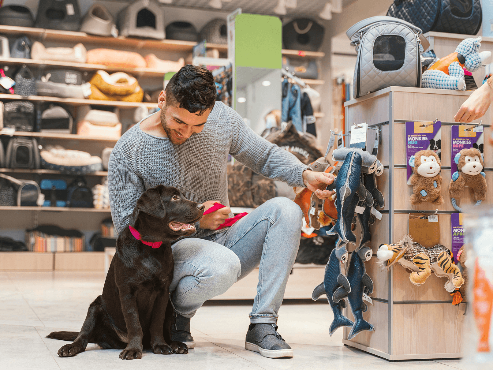 Pet Supplies — ecommerce storefront on Juoto